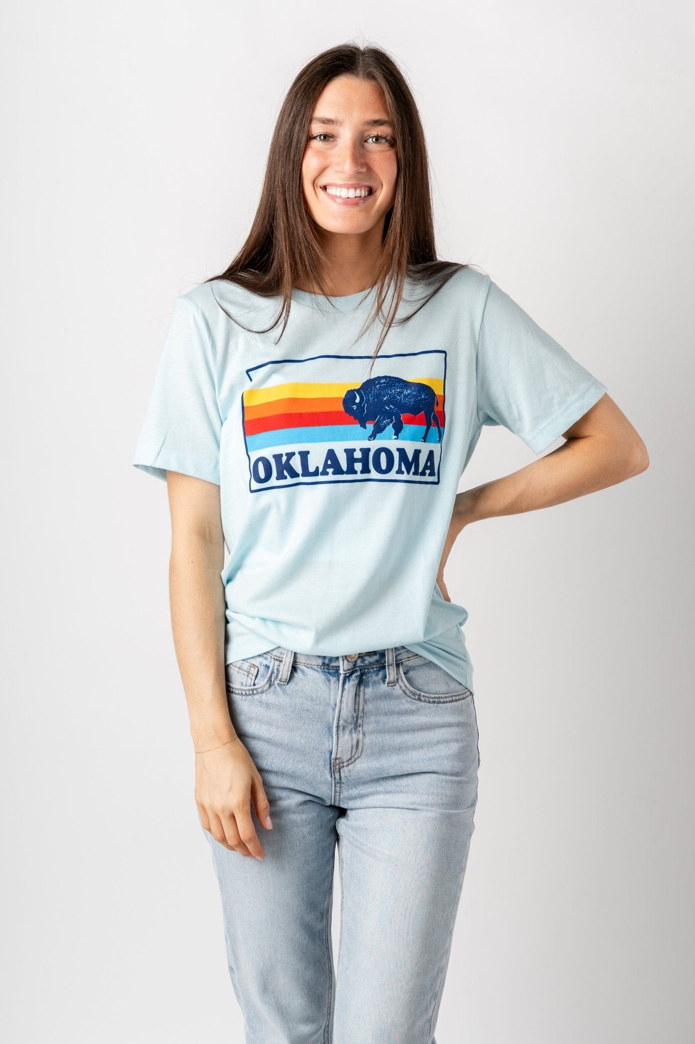 Bison colorful lines crew t-shirt light blue
