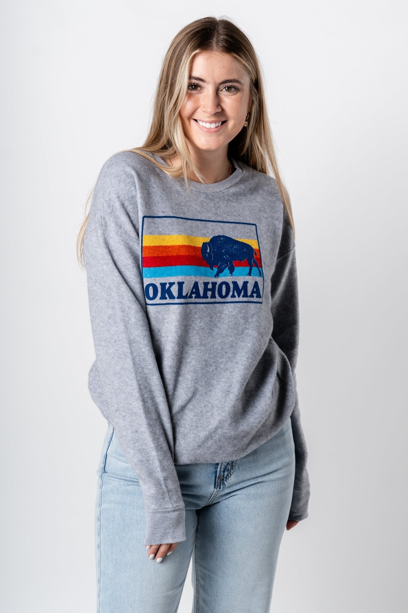 Bison colorful lines sweatshirt grey